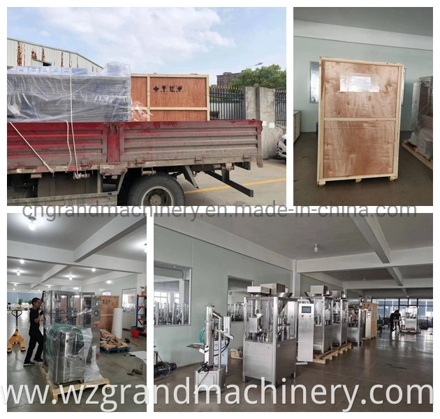 Saline Solution Filling and Packing Machine Plastic Ampoule Forming and Sealing Machine with Inkjet Printer Ggs-118 (P5)